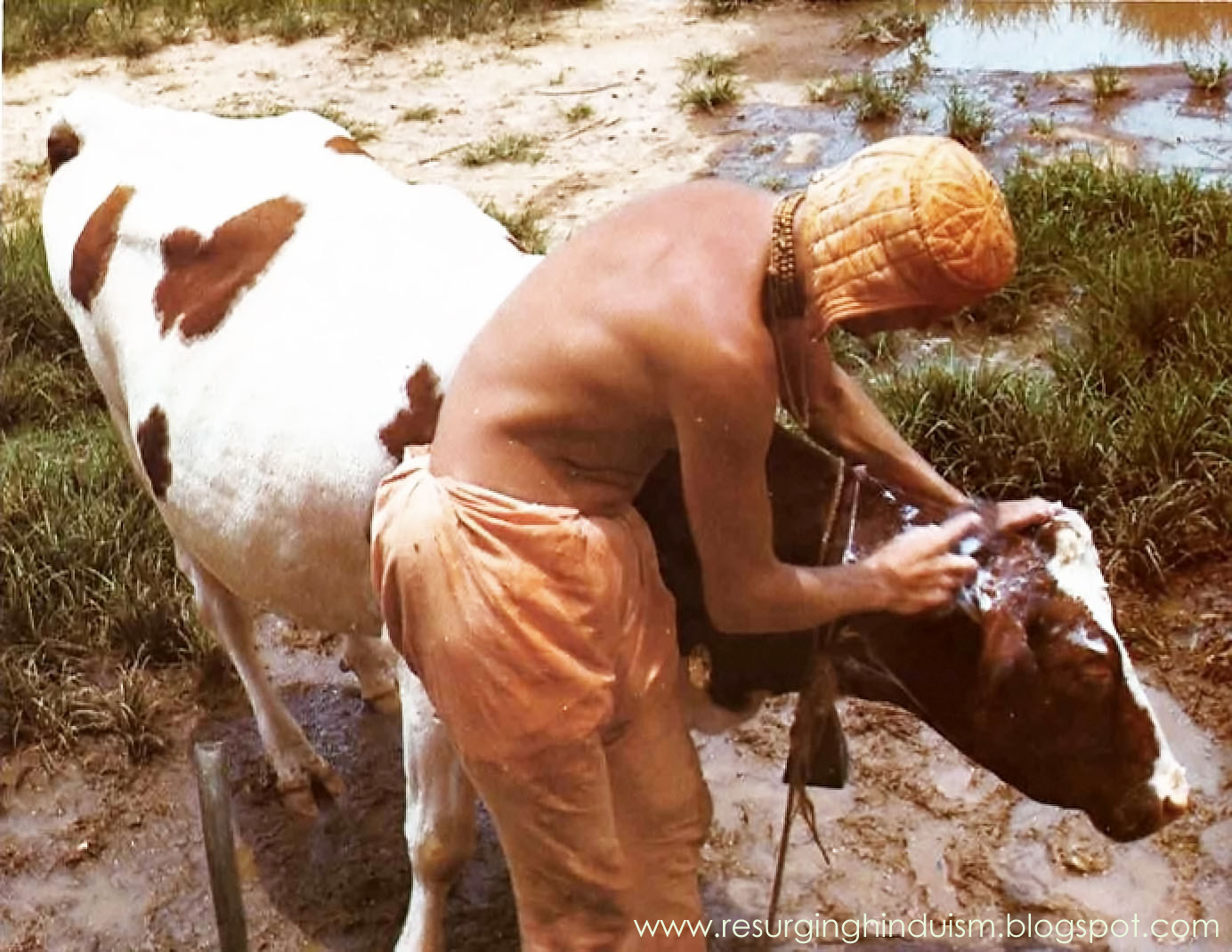 Read more about the article Sannyasi who got a cat, cow and wife