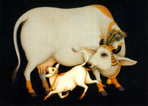 Read more about the article Krishna and the Calves: A Lesson in Compassion