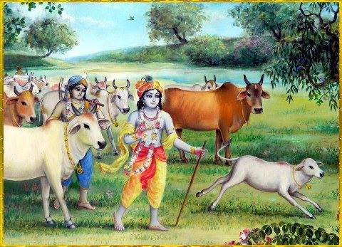 You are currently viewing Krishna Refuses Shoes and an Umbrella for the Sake of His Cows