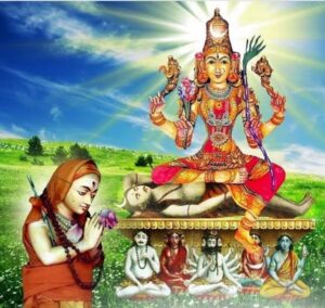 Read more about the article The Divine Debate: Adi Shankaracharya and Devi Saraswati