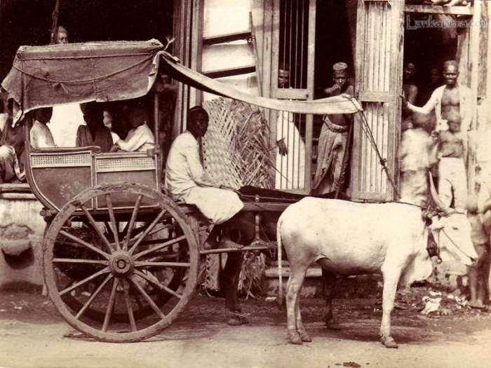 Read more about the article The Story of Raikva – The Cart Driver and giver