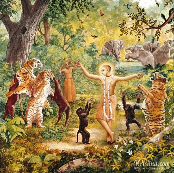 Read more about the article Lord Caitanya’s kirtan with animals at Jarikhanda jungle