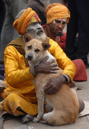 Read more about the article The Compassion of Jagannath Das Babaji for dogs